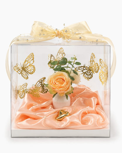 Transparente Geschenkbox mit weißer Bodenplatte – Präsentationsbox für Geschenke & Dekoration