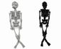 Glitzer-Skelett 40 cm - Halloween Dekoration Schwarz oder Silber