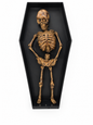 Tanzendes Skelettim Sarg mit Licht - Animierte Halloween - Dekoration